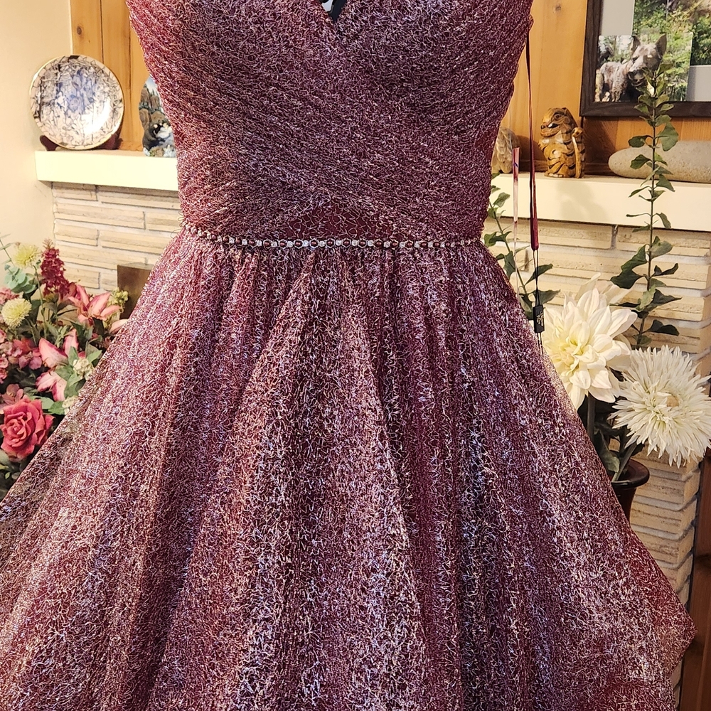 Terani Couture Wine Gown - Picture 2 of 8